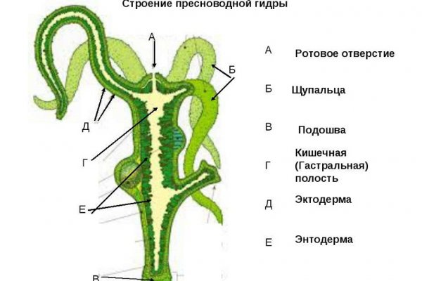 Кракен в обход