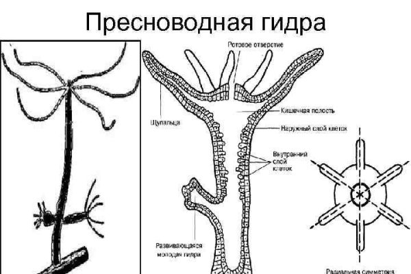 Кракен маркетплейс официальный сайт сайт ссылка